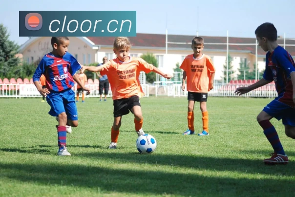 体育娱乐十大平台平台生态图